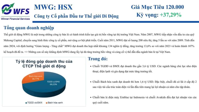 Phân Tích và Dự Phóng CTCP MWG