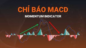 Hướng Dẫn Sử Dụng Chỉ Báo RSI, MACD, Bollinger Bands Cho Người Mới