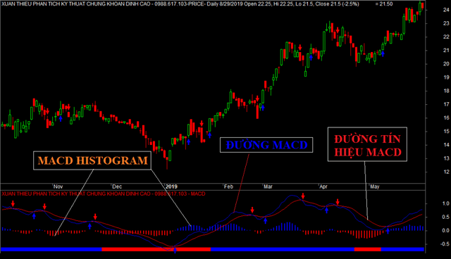 Chỉ báo MACD là gì? Cách sử dụng MACD hiệu quả trong giao dịch cho người mới