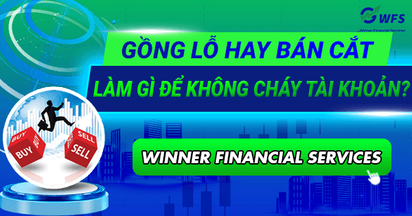 Gồng lỗ hay bán cắt: Làm gì để không cháy tài khoản?